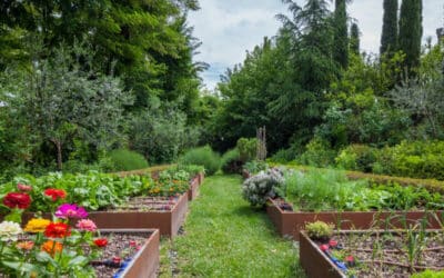 Haal het beste uit je tuin met de nieuwste tuintrends